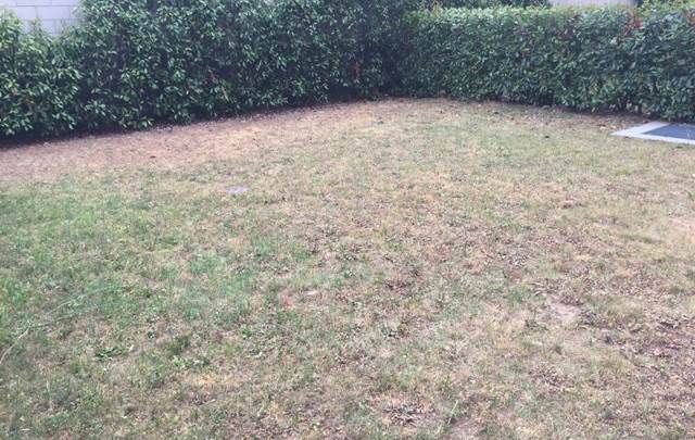 2 locali in affitto a Parabiago